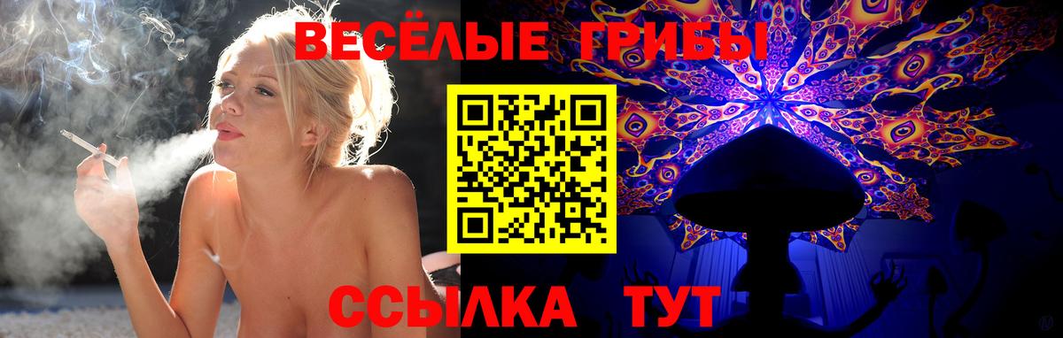 Псилоцибиновые грибы Magic Shrooms Кузнецк